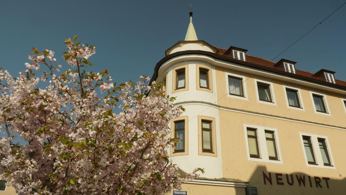 aussenaufnahme-mit-kirschbaum-hotel-neuburg