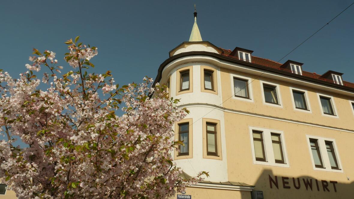 aussenaufnahme-mit-kirschbaum1